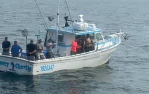 Blackfish Season with Freeport Charter Boats