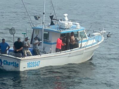 Blackfish Season Opens Strong! Book Your Long Island Fishing Charter Now