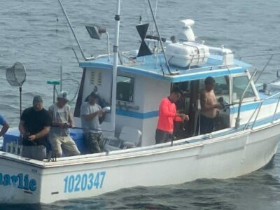 Hooked on Thrill: Epic Shark Fishing Trips Aboard the Sorry Charlie