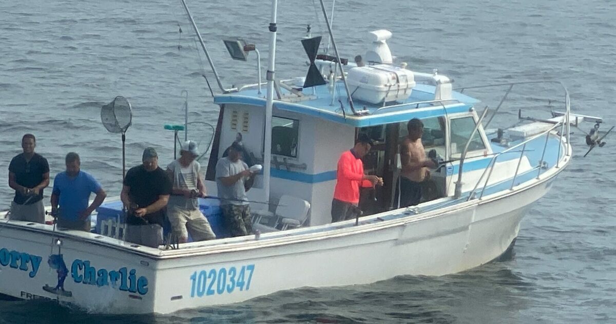 You are currently viewing Hooked on Thrill: Epic Shark Fishing Trips Aboard the Sorry Charlie
